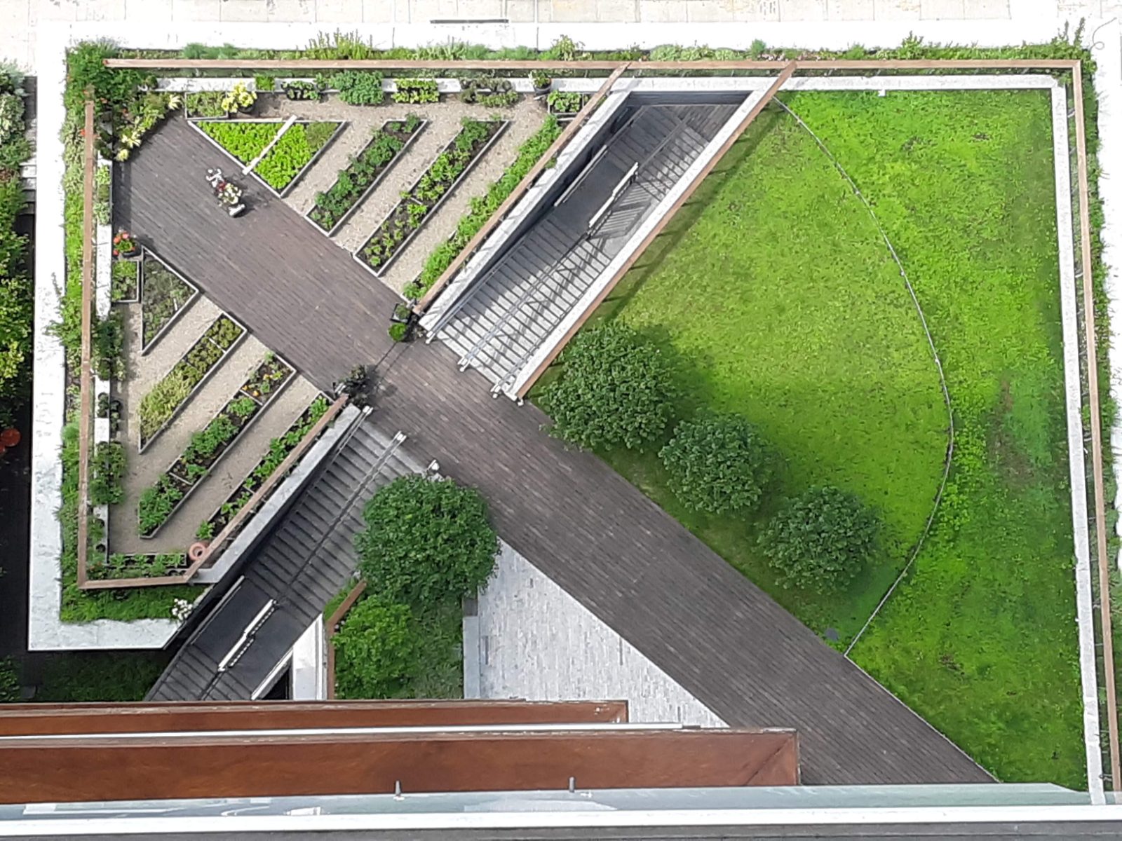 Aerial view of a rooftop garden with raised planting beds, lawn, and a boardwalk path